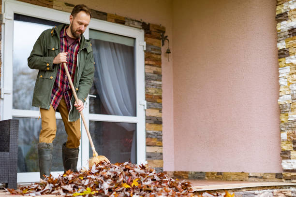 Best Appliance Removal Near Me  in Paulding, OH